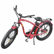 2019 New Design 1000 Watts Electric Bicycle